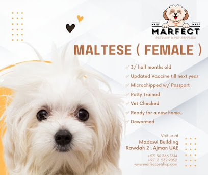Marfect Petshop LLC - Ras al Khaimah - +971 50 366 3314