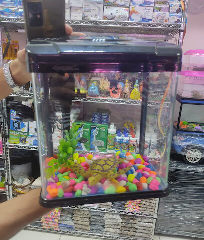 Pet wonder ornamental L.L.C - Ras al Khaimah - +971 54 734 0354