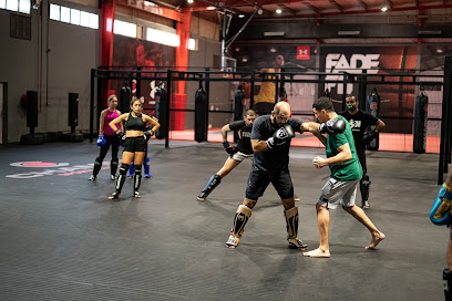 Falcons MMA - Dubai - +971 50 864 8360