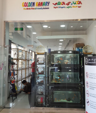 Golden Kanary for Birds,Fish & Friendly Animals - Ras al Khaimah - +971 50 335 2772