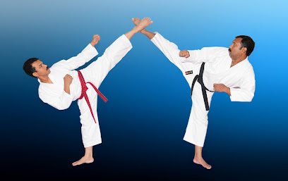 Golden Tiger Karate Sharjah - Dubai - +971 6 553 8600