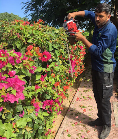 Green Belt LLC, Landscape Service - Dubai - +971 58 200 0051