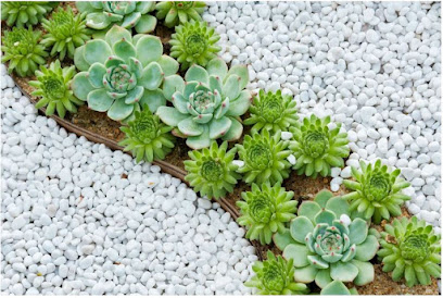 Rubus Plants & Flowers Trading L.L.C - Dubai - +971 50 471 1961
