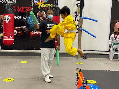 The tigers martial arts club - Dubai - +971 58 874 0072