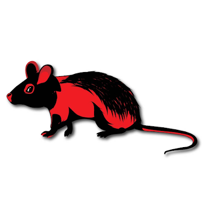 Robin Pest Control LLC - Ras al Khaimah -