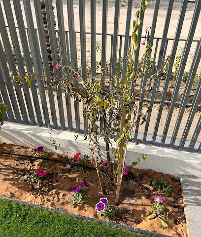 Green Life Landscaping Work LLC - Dubai - +971 4 238 0489