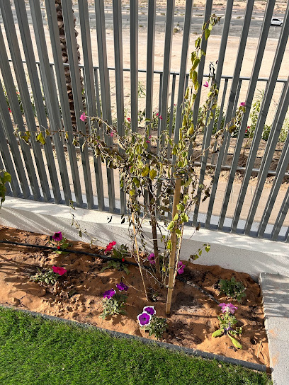 Green Life Landscaping Work LLC - United Arab Emirates|Al Qusais - Al Qusais 1 - Dubai|79GC+QXV