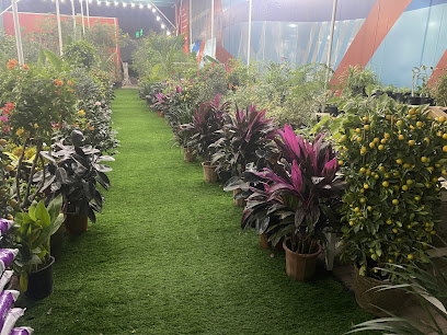 AL Sahraa Plants - Ras al Khaimah - +971 56 524 3906