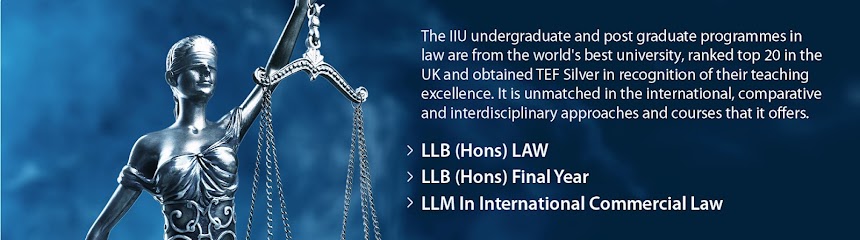 IDM International University