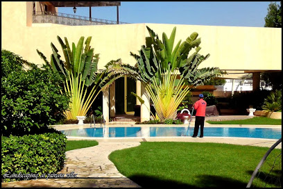 Evergreen Landscaping Company - Dubai - +971 2 677 0074