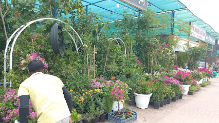 Zahrat Masafi Flowers Trading - Ras al Khaimah - +971 56 858 7601