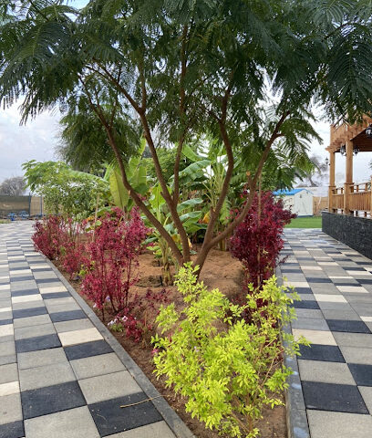 Shams family farm - Khor Fakkan -