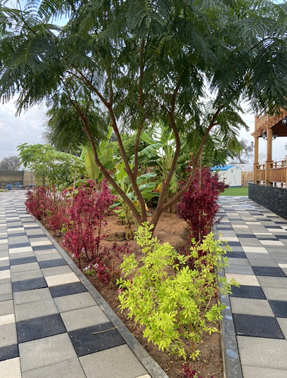 Shams family farm - United Arab Emirates|Al Shaagi - Ras al Khaimah|JXQC+CW