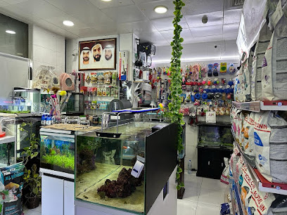 Thunder Jungle Pets Shop L.L.C - Ras al Khaimah - +971 50 120 9324
