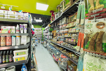 Wonder Pets L.L.C - Ras al Khaimah - +971 50 505 9828