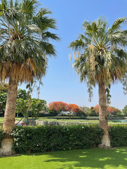 TREE TRIMMING & PRUNING TEAM DUBAI - United Arab Emirates|Dubai|Dubai Investment Park - 1|Al Sayegh Brothers Service Centre & Warehouse