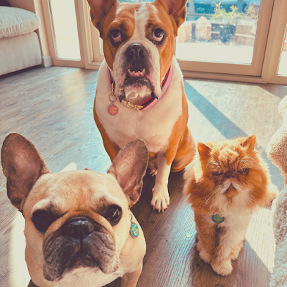 Where My Paws At - Ras al Khaimah - +971 52 721 4495