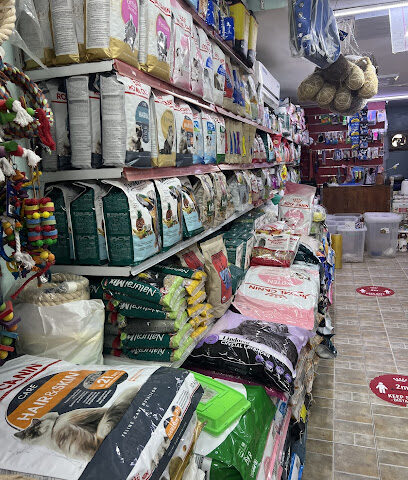 ZONE TIME BEAUTY BIRDS LLC - Ras al Khaimah - +971 55 353 4370