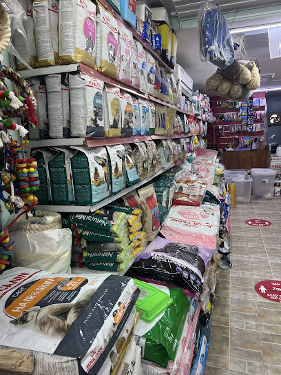 ZONE TIME BEAUTY BIRDS LLC - United Arab Emirates|Al Zahiyah - Al Mina - Abu Dhabi|Road