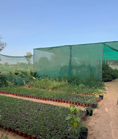 Al Maqbool Nursery - Ras al Khaimah -