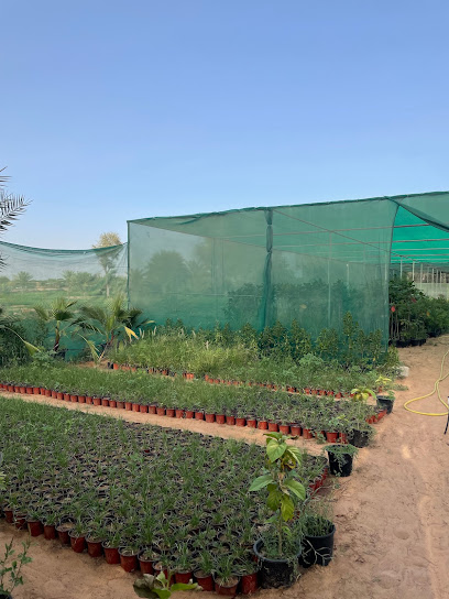 Al Maqbool Nursery - United Arab Emirates|Al Falah - Mazairah - Sharjah|إ311