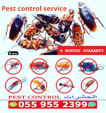 pest control service al ain - Ras al Khaimah - +971 55 955 2399