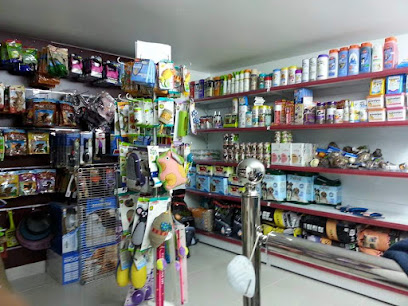 Animal Planet - Ras al Khaimah - +971 55 217 7006