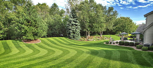 Sunscape Landscape & Gardening LLC - Dubai - +971 58 512 0600