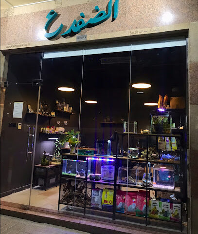الضفدع - AquaFrog - Ras al Khaimah - +971 50 243 0288