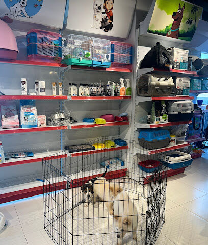 Amazing pets life - Ras al Khaimah - +971 50 905 2057