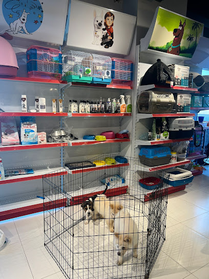 Amazing pets life - United Arab Emirates|Majan - Dubai|Shop-8