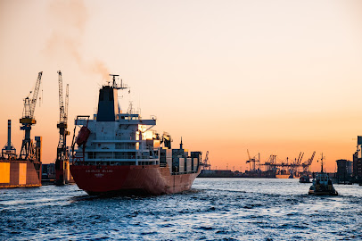 YOU EXPORT - Dubai -