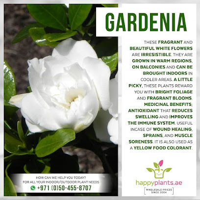 happyplants.ae - Ras al Khaimah - +971 50 455 8707