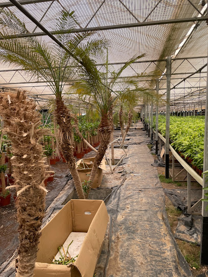 Siji Green House Fujairah - United Arab Emirates|Fujairah|PO Box 850