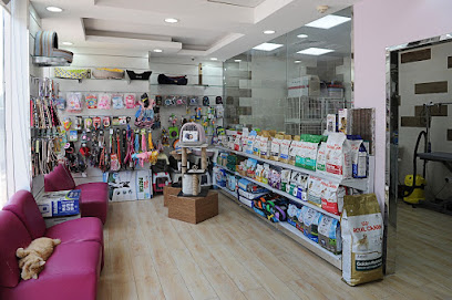 Castle Pets' Center - Ras al Khaimah - +971 2 650 5012