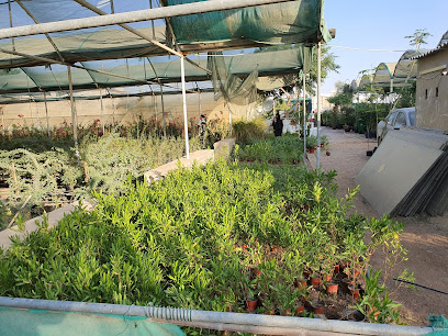 gulf nursery - Ras al Khaimah - +971 52 232 5404