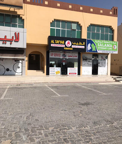 AL TAYYAB CAR REGISTRATION SERVICES - Dubai - +971 58 872 2773