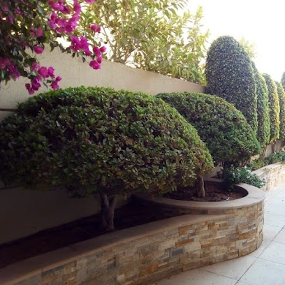 Garden and Landscaping smart services - Dubai - +971 50 893 8434