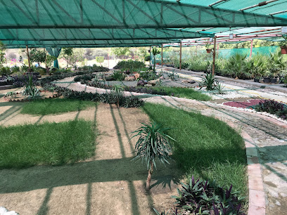 Barari Nursery at SBY - Ras al Khaimah -