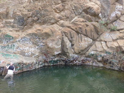 Wadi Wurayah Biosphere Reserve محمية وادي الوريعة - Fujairah -