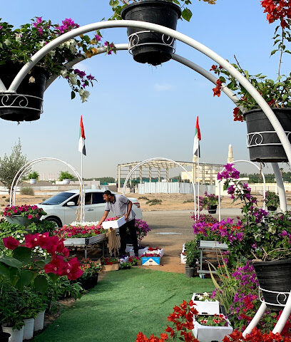 Nursery Raouche Dubai Warsan - Ras al Khaimah - +971 52 606 0444