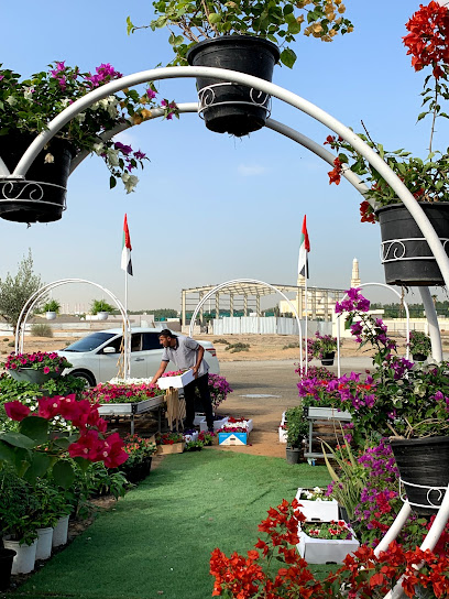 Nursery Raouche Dubai Warsan - United Arab Emirates|Warsan 3 - Dubai|1 Dina Home St