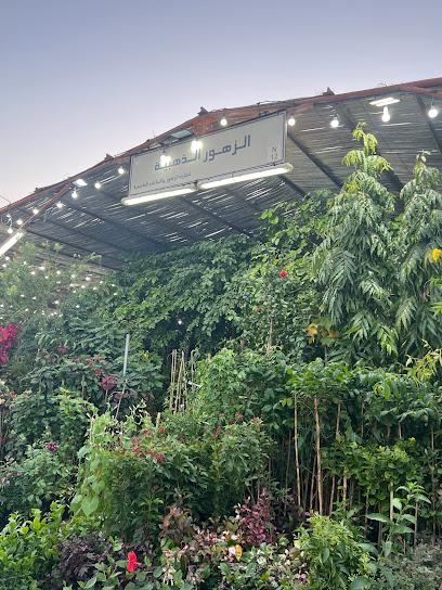 Golden Flowers Nursery N12 - United Arab Emirates|Al Noud - Abu Dhabi|Central market|5R65+WJ2