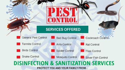 New Blue Diamond- Pest Control Services in Abu dhabi - Ras al Khaimah - +971 2 559 9492