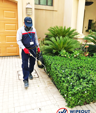 Wipeout pest control Abu Dhabi - Ras al Khaimah - +971 56 445 9398