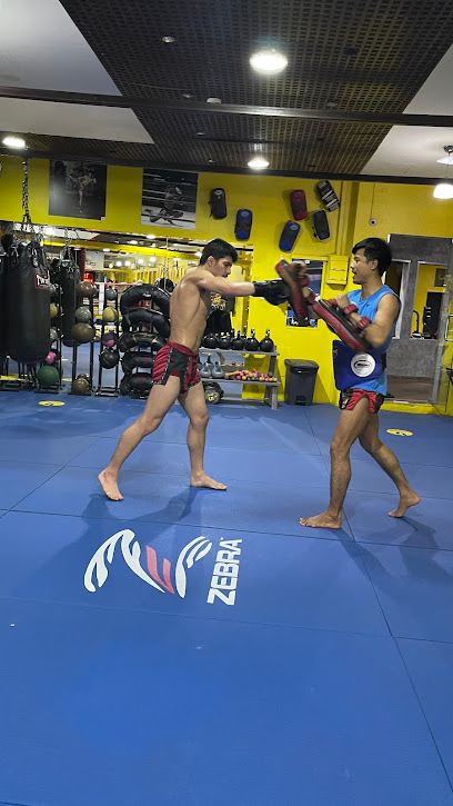 Colosseum Muay-Thai Health & Fitness Club - United Arab Emirates|Dubai|Zaa'beel St|Gym Floor