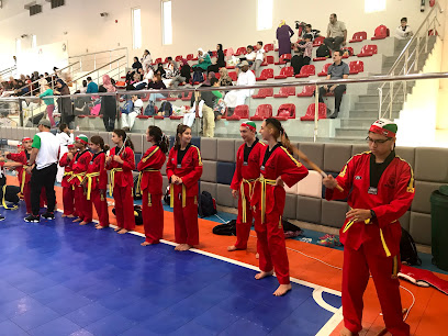 Phoenix Black Belt Academy - Dubai -