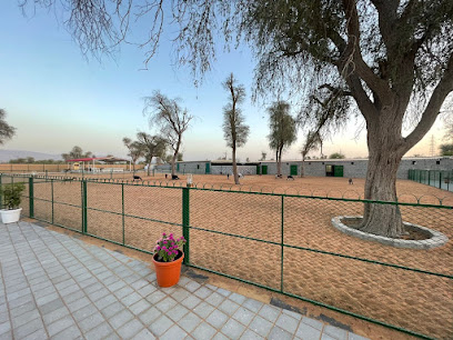 Al Forsan Farm House And Horse Riding - Dubai -