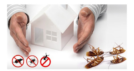 Cleangreenuae.com - Ras al Khaimah - +971 50 271 5650