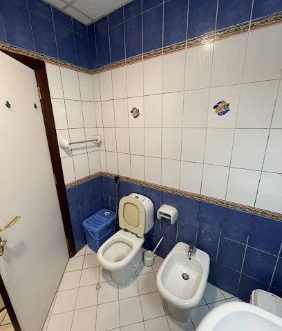Metis Technical Services LLC - Ras al Khaimah - +971 56 664 8574